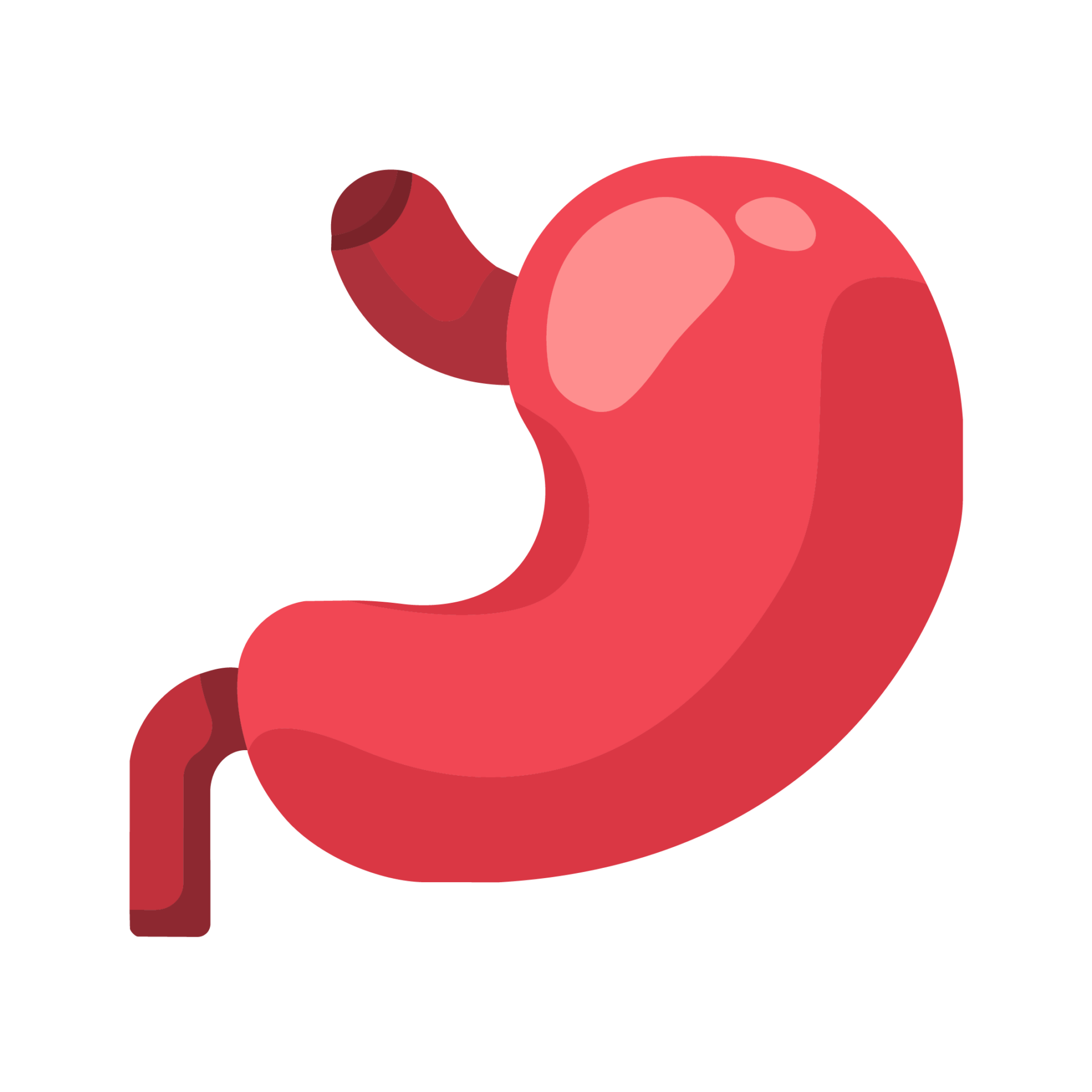 Gastro-Liver Consultations