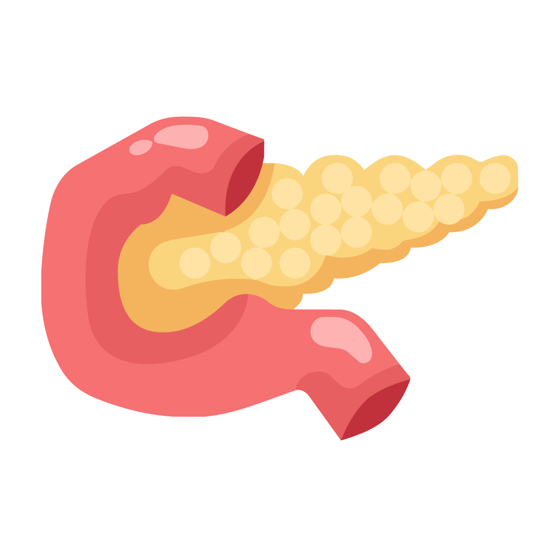 Pancreatico-Biliary Care
